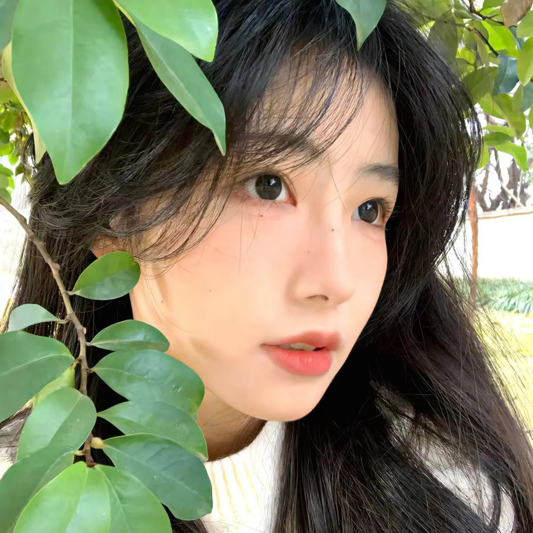 最高原则